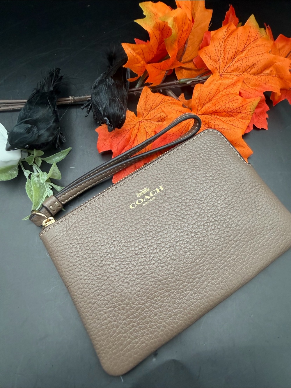 Coach Medium Pebble Leather Wristlet in Dark Stone